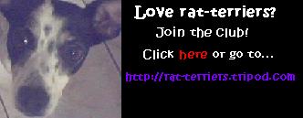 ratterrierslogo.jpg